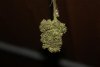 DSC00795 Small.JPG