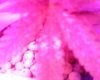 IMG00022.jpg