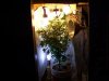 Week4Flowering 010.jpg