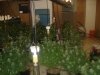 DSC04075.JPG