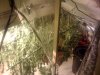 harvest1.jpg harvest1.jpg
