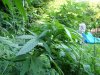 DSC02572.jpg