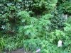 DSC02573.jpg