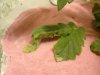 DSC02607.jpg