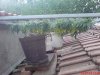DSC00260.jpg