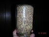 DSCN1340.jpg