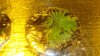 DSC05124.jpg