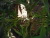 DSCN1434.jpg
