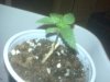 IMG00321.jpg IMG00321.jpg