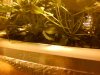 Snapshot_20100730_12.jpg