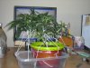 Picture 003.jpg