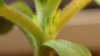 Day 10_3 - crop.jpg