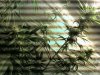 100801_110516.jpg