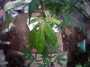 PICT0016.JPG