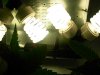 DSCN5256.jpg