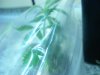 DSCN5259.jpg
