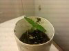 IMG_20100803_170320.jpg