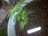 2010-08-03 19.56.25.jpg