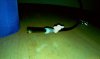 IMAG0314.jpg