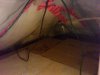 IMG00028-20100804-1731.jpg