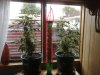23122009547.jpg