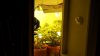 100_3874.jpg 100_3874.jpg