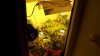 100_3875.jpg 100_3875.jpg