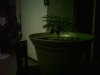 IMG0079A.jpg