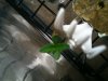 photo5.jpg photo5.jpg