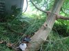 DSC02623.jpg