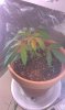 0_IMAG0022.jpg 0_IMAG0022.jpg