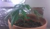 0_IMAG0027.jpg 0_IMAG0027.jpg