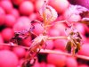 DSCF6979.JPG