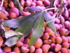 DSCF6985.JPG