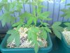 20100810_005 - Copy.jpg