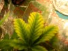 DSCN0459.jpg