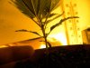 DSCN7605.jpg
