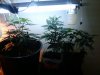 2010-08-10 22.07.38.jpg