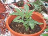 100_0164.jpg