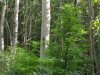 S7300778.jpg