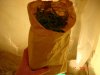 DSC00518.jpg