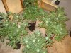 DSC00834.jpg