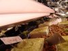 DSC01556.jpg