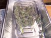 sick GB harvest.jpg sick GB harvest.jpg