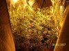 100_0650.jpg