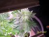 100_2573.jpg