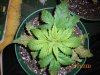 100_0005.jpg