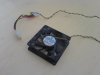 DSC00445.JPG
