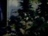 2010-08-13 14-32-13.349.jpg