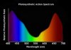 action%2520spectrum%2520en.jpg action%2520spectrum%2520en.jpg